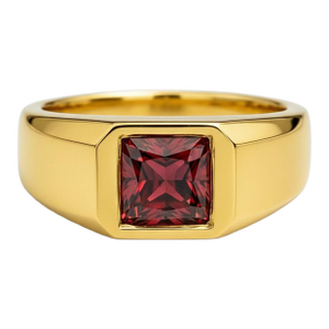 Signet Ring With Garnet for Men Silver, Gold, Size 10
