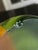 Glass Large Murano Glass Vase, 1960s For Sale - Image 7 of 9