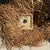 Pendant Light or Lampshade in Alang Alang Fibers For Sale - Image 12 of 15