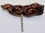 1950s Vintage French Laurent Siret Vine Wood Corkscrew, Tony La Barba For Sale - Image 5 of 8
