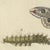 Bertuch, Garden Tiger Moth and Emperor Moth, 1805, Print For Sale - Image 9 of 12
