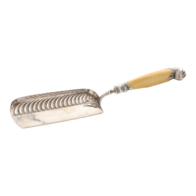 English Silver Plated Crumb Catcher For Sale