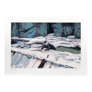 Zoo Bear, Fran Bull Screenprint, Signed and Numbered in Pencil