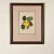 Early 19th Century Print From Botanical Study of Fruits and Nuts by Duhamel Du Monceau, Early 19th Century For Sale - Image 5 of 5