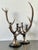 Hollywood Regency Vintage Natural Deer Antler Candlesticks - A Pair For Sale - Image 3 of 12