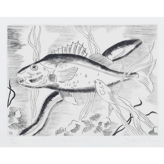 Maurice Bouval - Fish - Original Etching - 1960s For Sale - Image 3 of 3