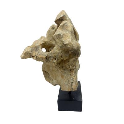 Natural coral stone from Indonesia with a sandy hue, displayed on a handcrafted teak stand. Its organic texture and warm...