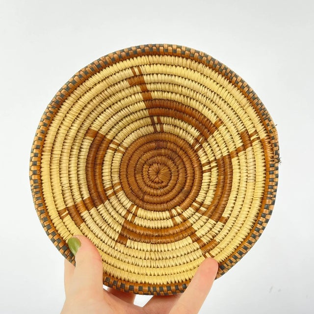 Early 20th Century Botswana Basket Antelope Design 6inch MATTER COLLECTION For Sale - Image 4 of 8