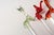 Set of Eight Vintage Blown Glass Animal Cocktail Stirrers With Box by Saxon For Sale - Image 17 of 17