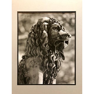 Theodore Cohen, Stone Lion Sculpture Photograph, Jerusalem Vintage Silver Gelatin Photo Print, c.1960's For Sale