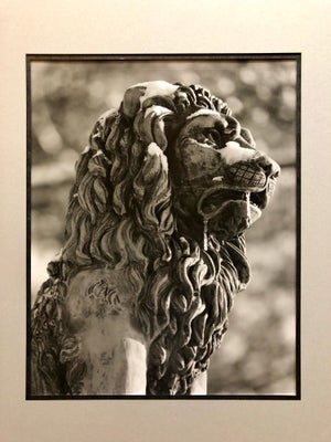 Theodore Cohen, Stone Lion Sculpture Photograph, Jerusalem Vintage Silver Gelatin Photo Print, c.1960's
