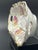 Ceramic Antique Bavarian China Long Dish For Sale - Image 7 of 12