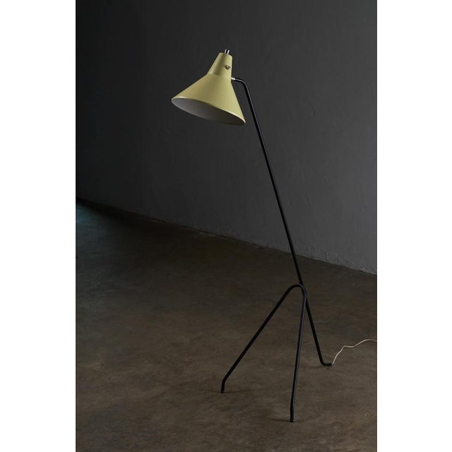 Black Vintage Grasshopper Tripod Floor Lamp by Willem Van Doorn, 1960s For Sale - Image 8 of 9