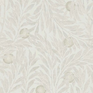Sanderson Orange Tree Wallpaper in Stone For Sale
