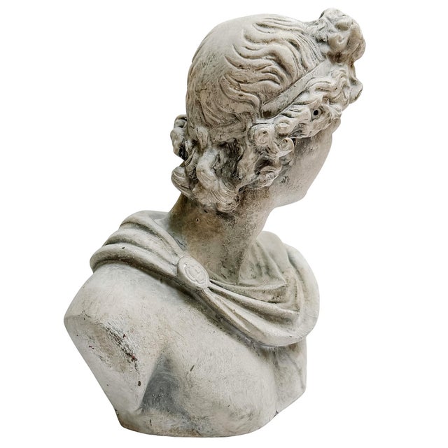 Late 20th Century Classical Apollo of Belvedere Concrete Bust For Sale - Image 4 of 7