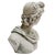 Late 20th Century Classical Apollo of Belvedere Concrete Bust For Sale - Image 4 of 7