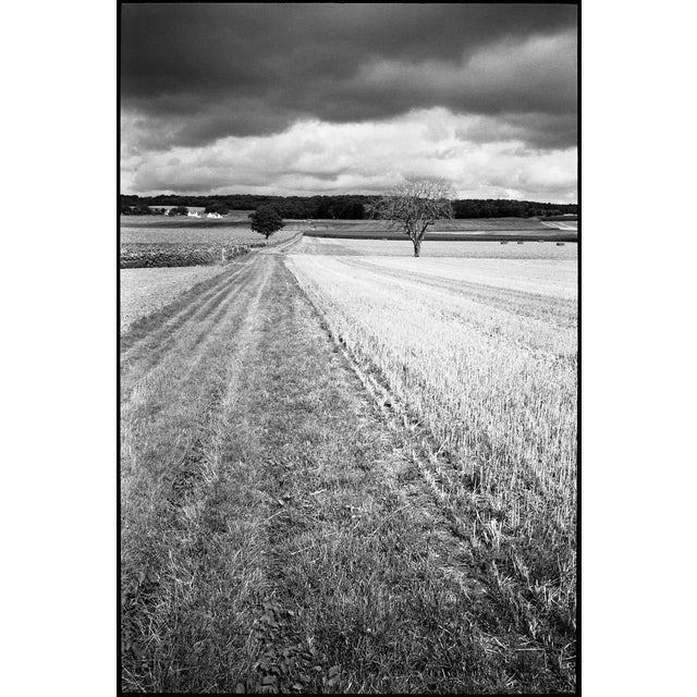 Paul Cooklin, Crop Field, Couziers, Edition of 50 For Sale - Image 7 of 7