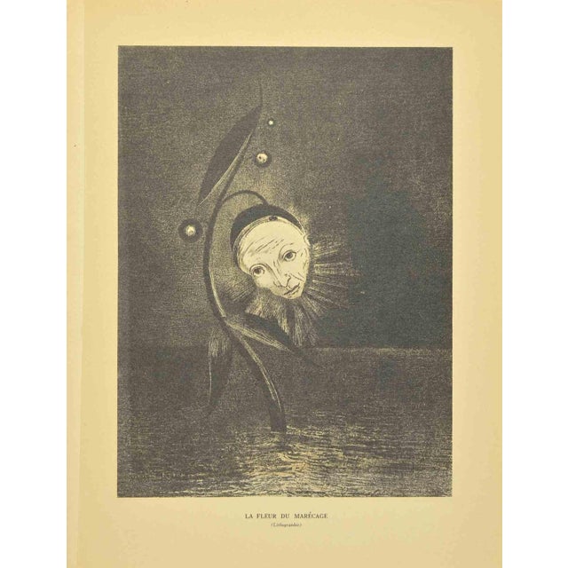 Le Fleur Du Marécage is a lithograph realized after Odilon Redon. It belongs to the suite "Odilon Redon Peintre,...
