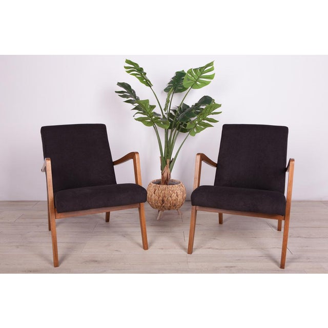 Mid-Century Modern Set of Type 300-138 Beech Armchairs from Bystrzyckie Furniture Factory, 1960s For Sale - Image 3 of 18