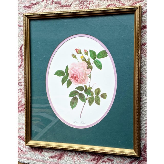 Victorian Vintage Botanical Floral Rose Lithograph Framed For Sale - Image 3 of 10
