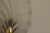 Gold Art Deco Brass & Glass Shell Wall Lamps Denmark, 1930s Rewired, Working, E14, Set of 2 For Sale - Image 8 of 18