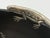 Metal 1980s Emilia Castillo Pure Silver Lizard & Black Porcelain Bowl, Mexican Silver Art For Sale - Image 7 of 18