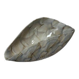 Murano Glass Cartoccio Seashell Centerpiece Bowl For Sale