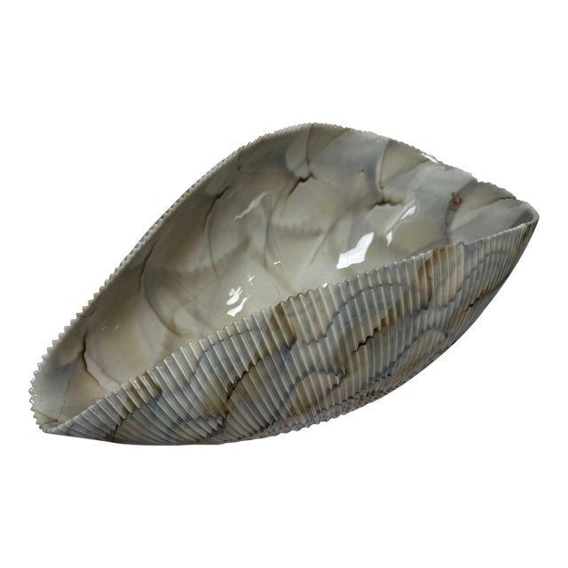 Murano Glass Cartoccio Seashell Centerpiece Bowl For Sale