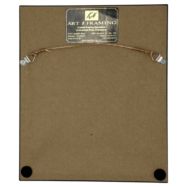 Mid-Century Modern Vintage Belmond Hotel Splendido Portofino Mare Framed Luggage Label For Sale - Image 3 of 9