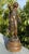 This listing is for an antique cast metal statue titled “Le Baise” by L&F Moreau. The piece depicts a young woman in...