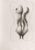 Giacomo Porzano, Nude, 1972, Etching For Sale