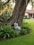 Vintage Cast Iron Owl Garden Sculpture on Natural Branch Base For Sale - Image 11 of 11