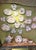 18th Century Viennese Blue and White Porcelain Dinner Plates, Set of 44 For Sale - Image 13 of 18
