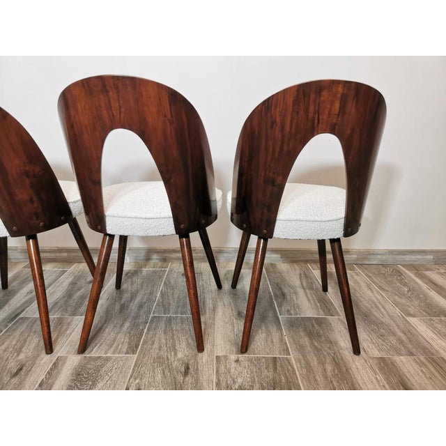 1960s Dining Chairs by Antonin Suman, 1960s, Set of 4 For Sale - Image 5 of 18