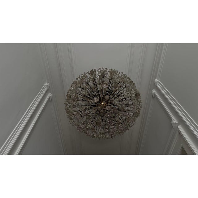 Large Oval Glass and Brass Flower Chandelier attributed to Emil Stejnar for Rupert Nikoll, Austria, 1950s For Sale - Image 15 of 18