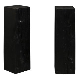 19th Century Indonesian Carbonized Ironwood Pedestal Columns – A Pair For Sale