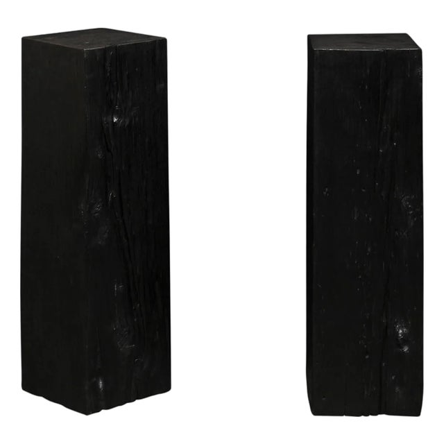 19th Century Indonesian Carbonized Ironwood Pedestal Columns – A Pair For Sale