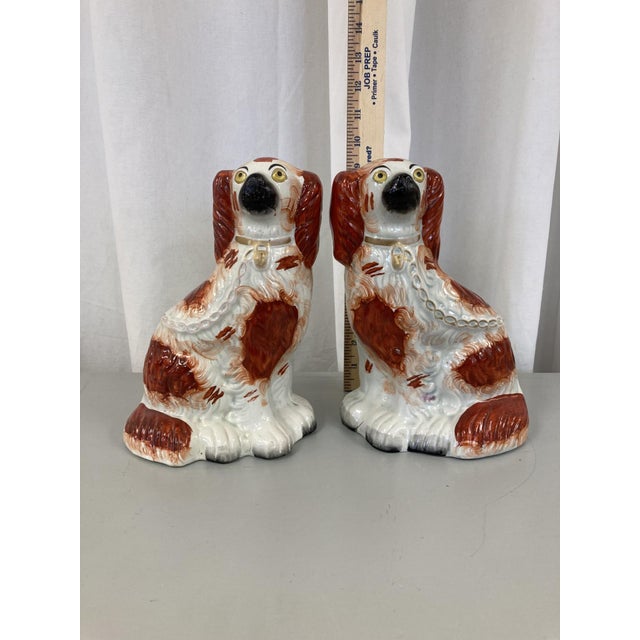 Just like your real dog, these Staffordshire Terriers will stare at you without blinking as if to say "Where's my treat?"....