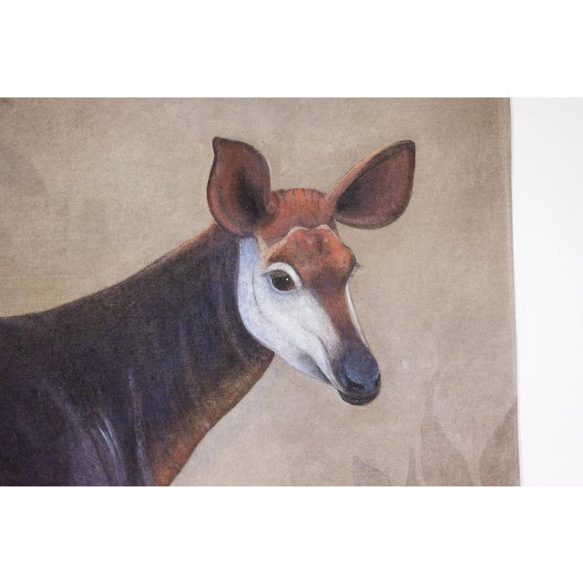 French Artist, An Okapi on a Gray Background, Painted Canvas For Sale - Image 4 of 7