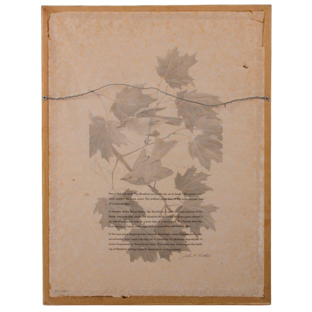 John Ruthven New York State Bluebird Print Chairish