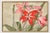This vintage amaryllis botanical art print by Hannah Borger Overbeck brings bold floral color and Arts and Crafts...