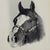 Vintage black and white Western equestrian portrait photograph featuring a dark horse with a distinctive white blaze and...