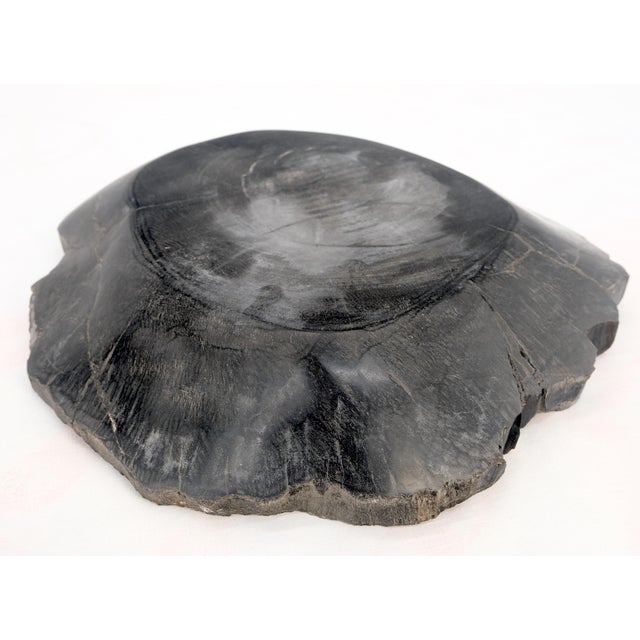 Wood Petrified Wood Round Shape Solid Black Round Bowl Dish Large Plate Ashtray For Sale - Image 7 of 8