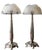 Dahlias Lamps in Opalescent Glass by René Lalique, 1921, Set of 2 For Sale - Image 10 of 10