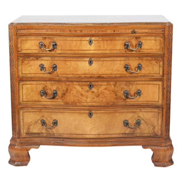1920s Queen Anne Revival Burl Walnut Serpentine Chest of Drawers – Dutch Colonial Style For Sale