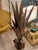 Gilt Palm Table or Floor Lamp in the style of Tommaso Barbi, Italy, 1960s For Sale - Image 6 of 8