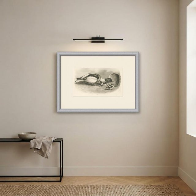 Paper After Lilian Medland, Shelduck and Ducklings, 1909, Print For Sale - Image 7 of 9