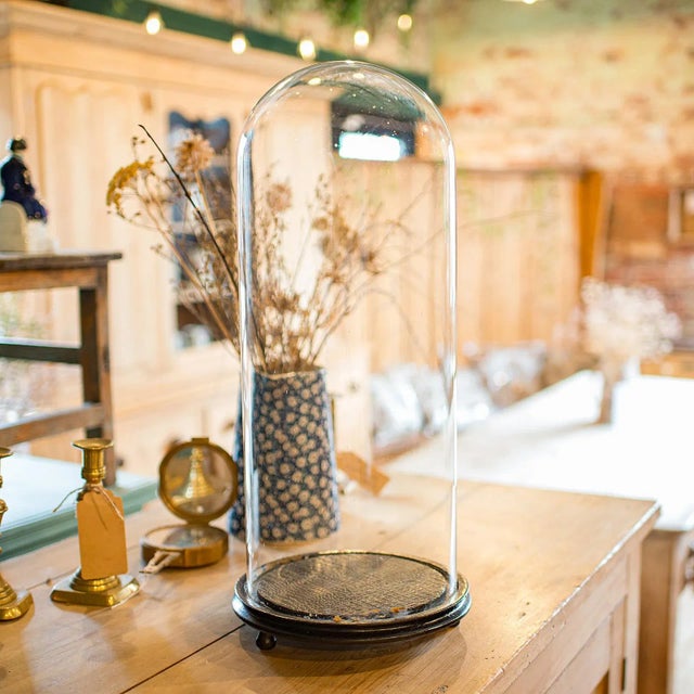 Victorian 1890's Tall Antique Taxidermy Showcase For Sale - Image 3 of 10