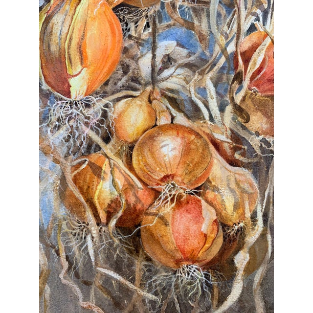 Realistic Still Life Watercolor Painting of Onions by Gillean Whitaker, Framed For Sale In Philadelphia - Image 6 of 7