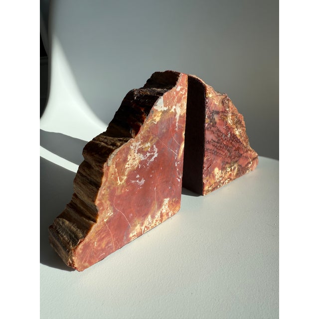 North America, Southwestern United States, Arizona, Late Triassic, ca. 225 million years ago. A spectacular and large slab...